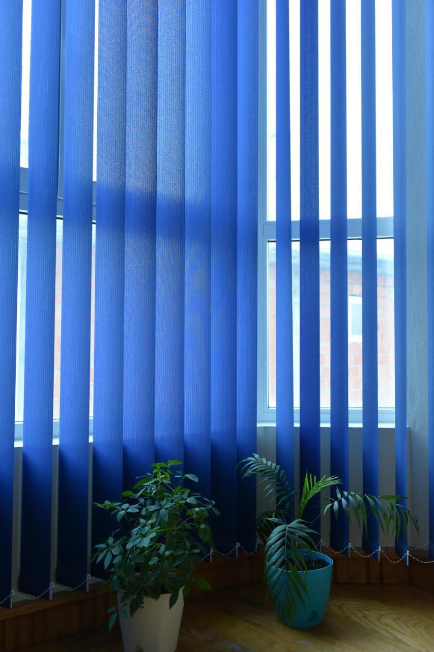 Apartment Blue House Nis