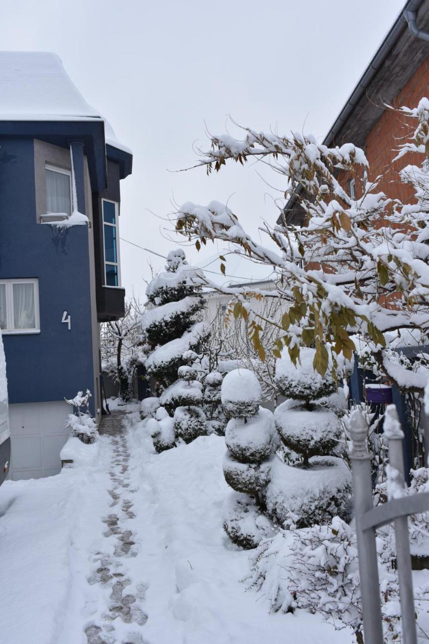 Blue House * Nis